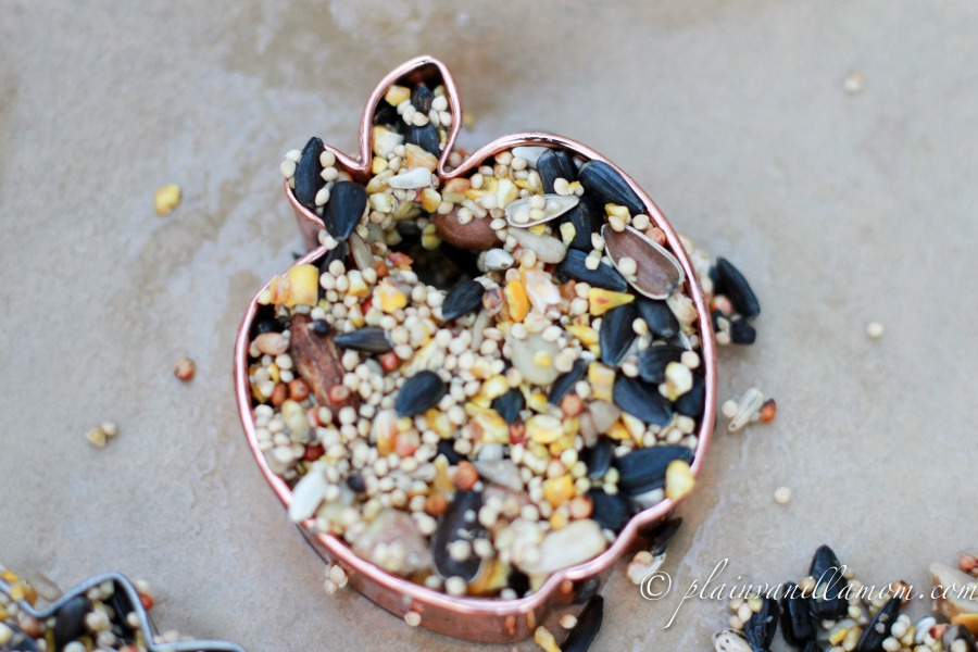 apple for teacher birdseed feeder