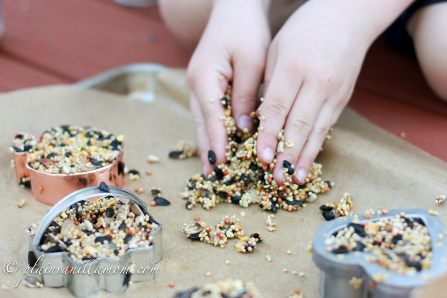kid making bird seed feeders