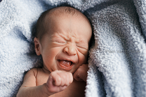 Meet Our Valentine-3