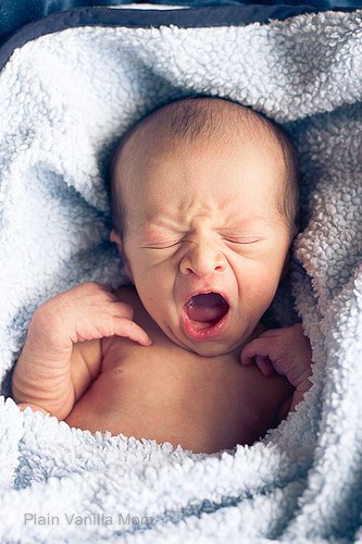 Meet Our Valentine-2