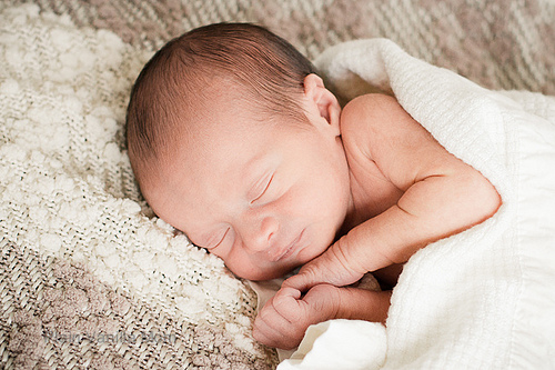 Meet Our Valentine-5