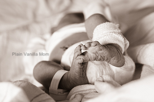 Meet Our Valentine-4