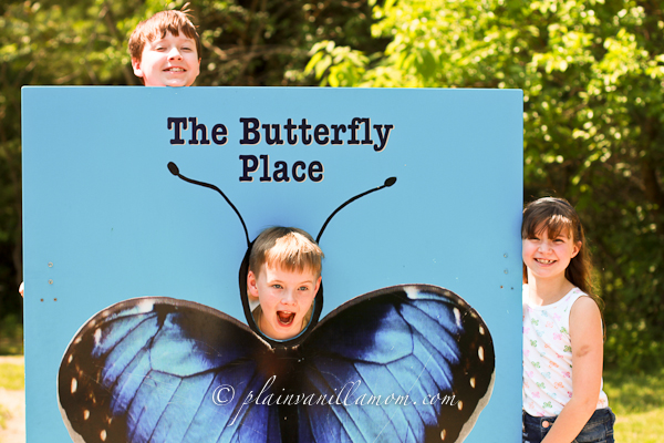 The Butterfly Place