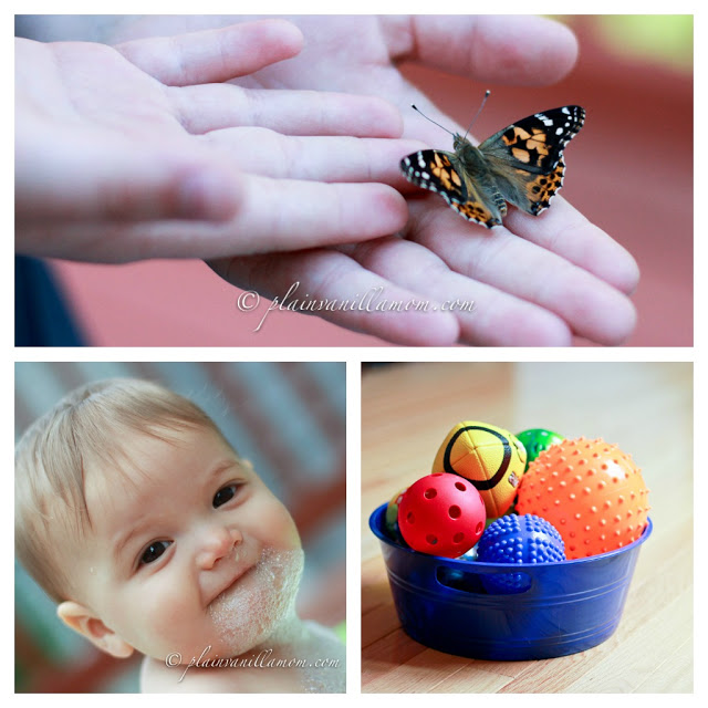 Butterflies, Bubbles & Balls