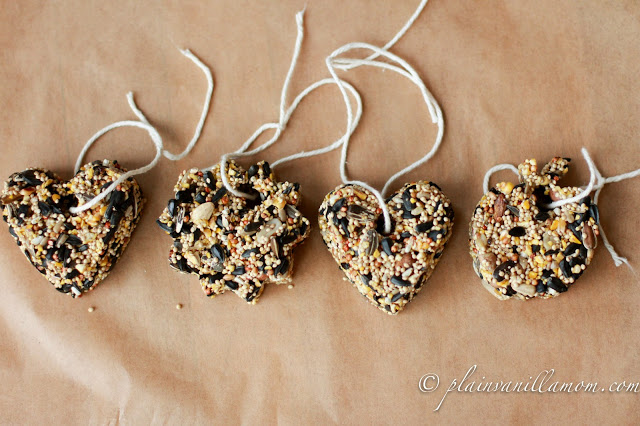 DIY Bird Seed Feeders