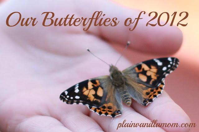 Our Butterflies of 2012
