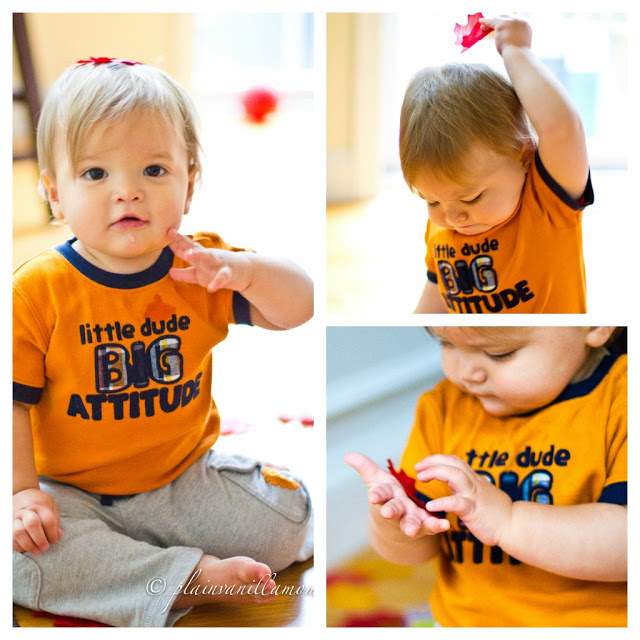 Fun with Leaves: Fall Themed Sensory Baby Play