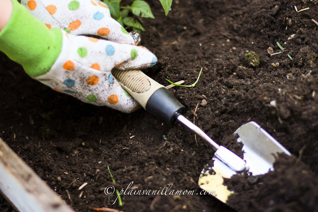 How Does Your Garden Grow