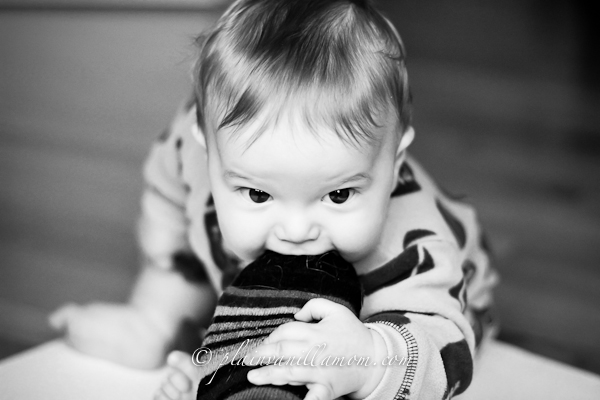 Quarterly Top 5 Photos