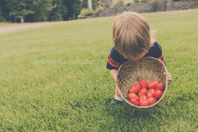 Tomato Basil & Mozzarella Sandwiches