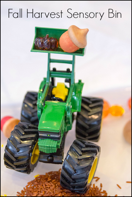 Fall Harvest Sensory Bin