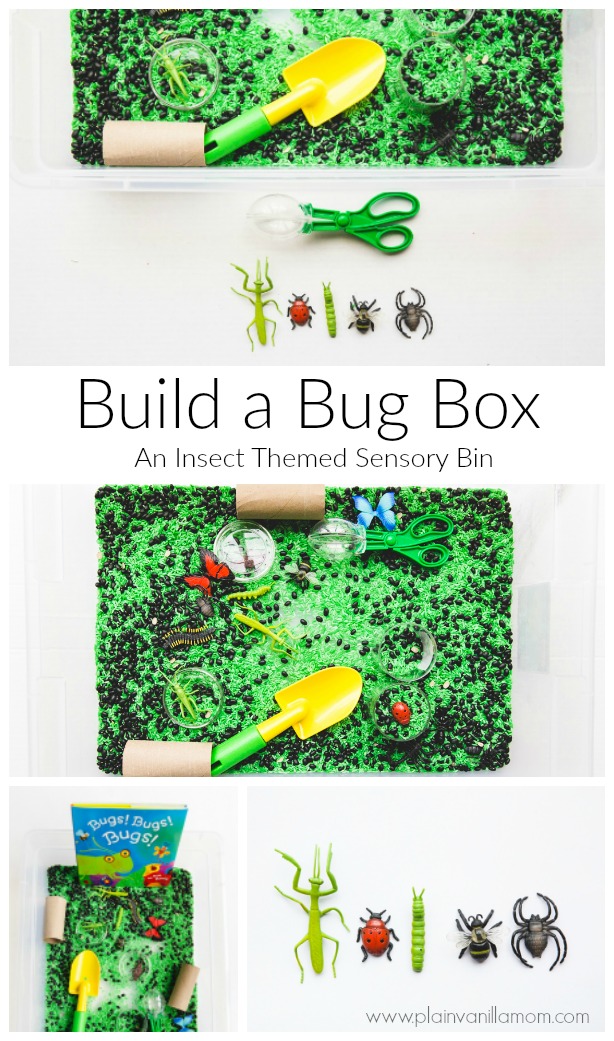 Bug Box Insect Sensory Bin