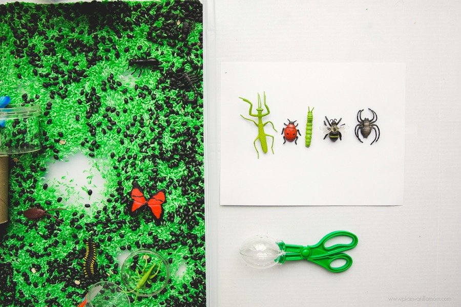 Bug Box Sensory Bin Find the Bugs