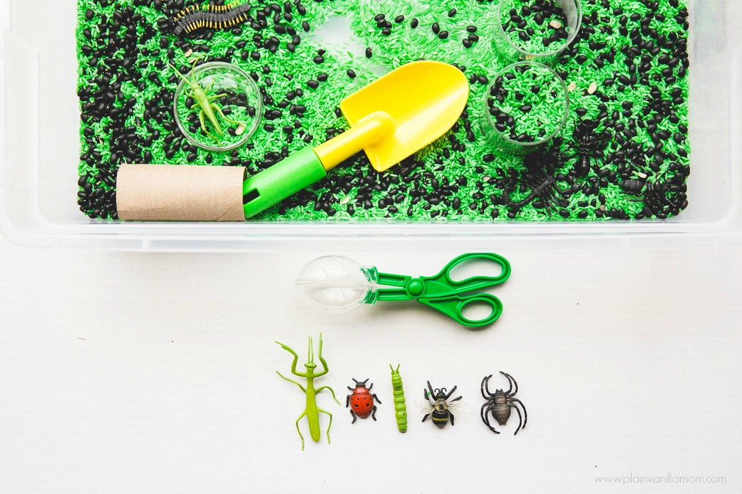 Bug Sensory Bin