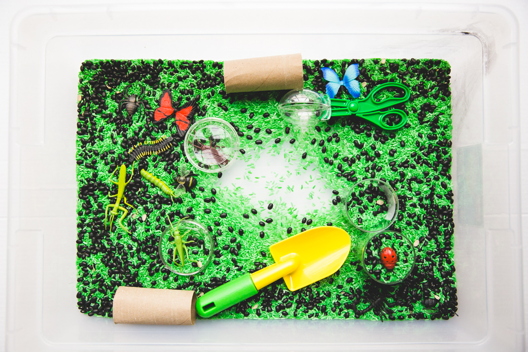 Insect Sensory Bin