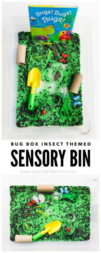 Insect Themed Sensory Bin