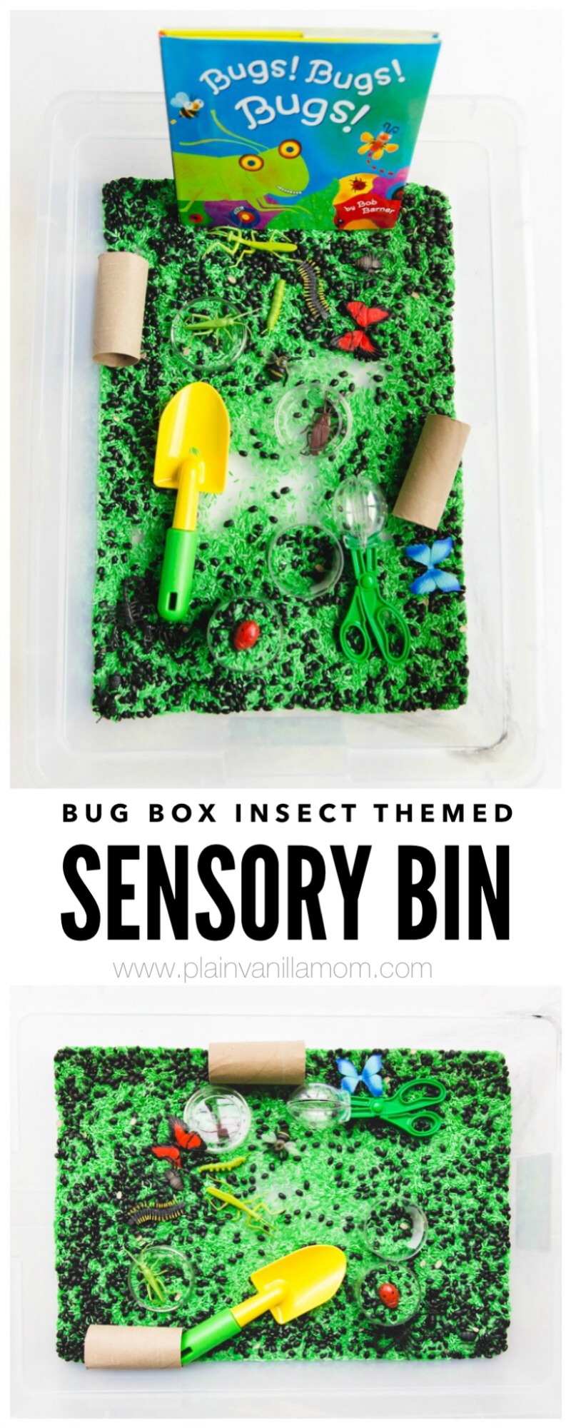 Bug Box | Insect Themed Sensory Bin