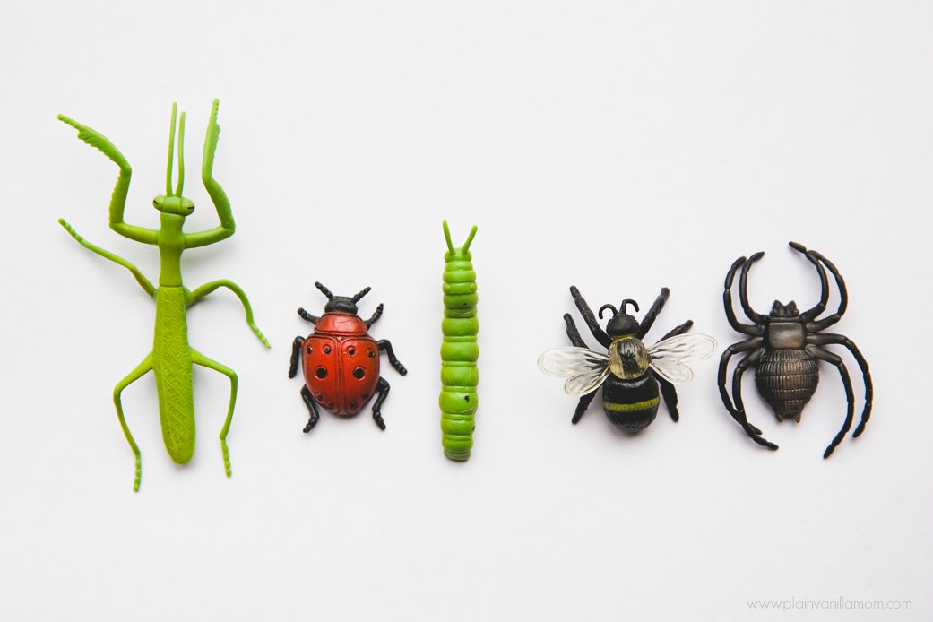 Safari LTD Bugs for an Insect Themed Sensory Bin