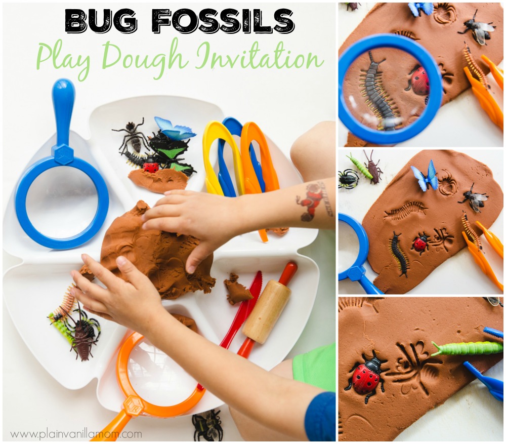 Bug Fossils titled sq