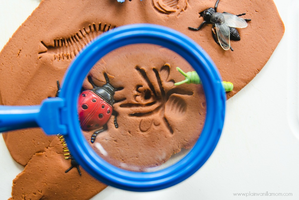 Inspecting Bug Fossils with Magnifying Glass