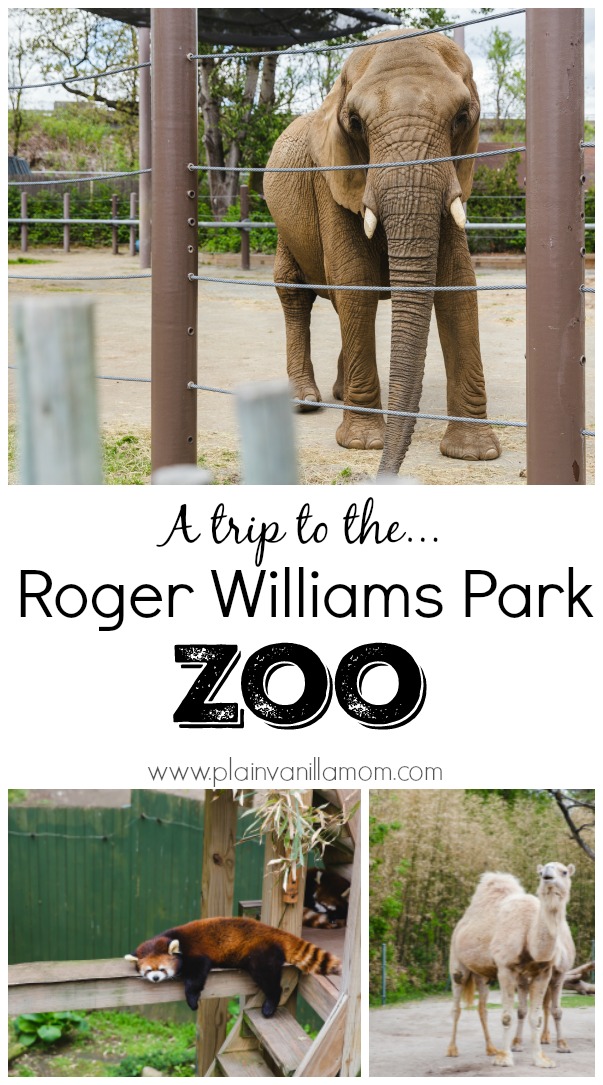 Details of a visit to the Roger Williams Park Zoo in Providence Rhode Island