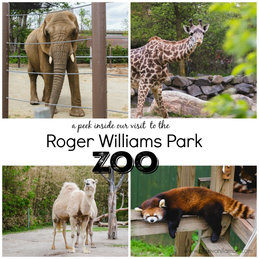 A Visit To The Roger Williams Park Zoo, Rhode Island