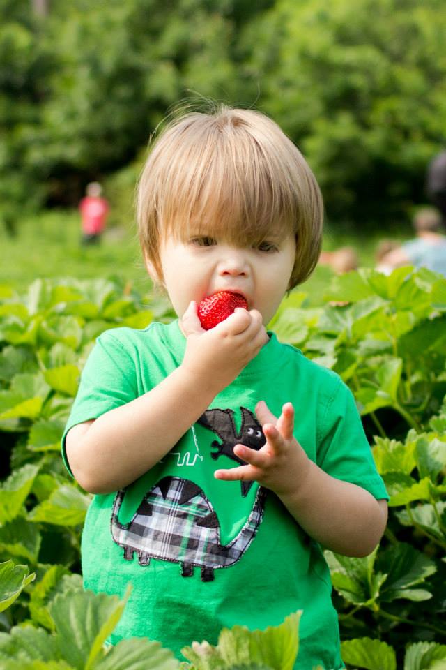 1017294_10200649347929773_1844297100_n